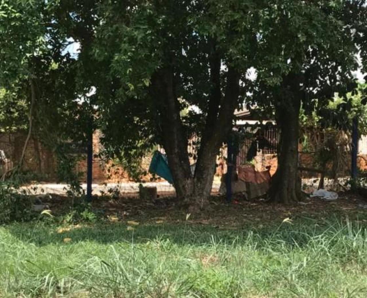 Assessoria do parlamentar